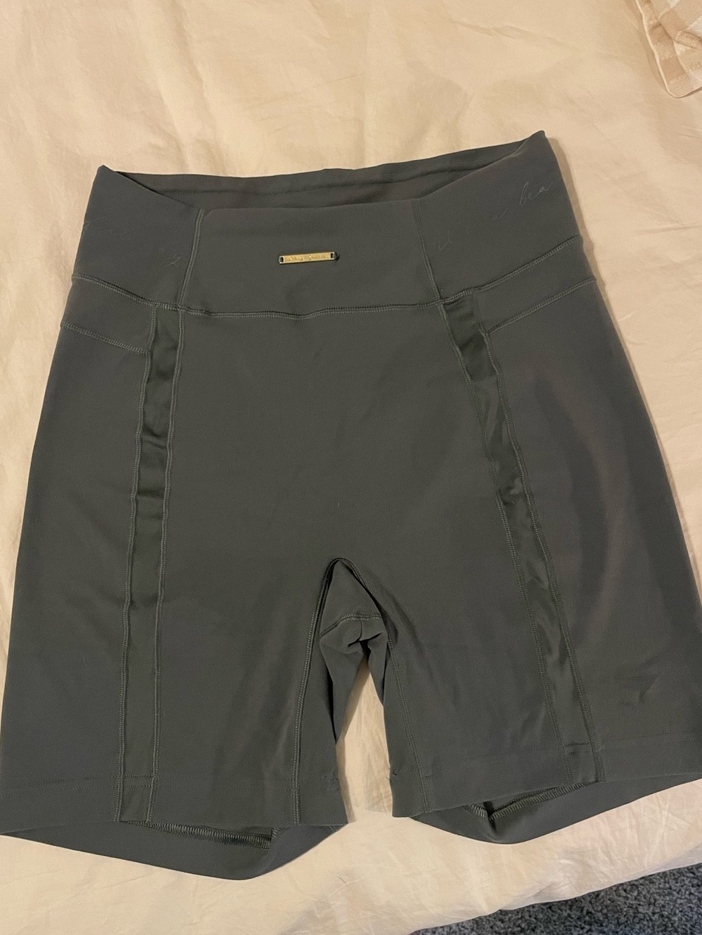 Gymshark X Whitney Simmons Bike Shorts Eucalyptus